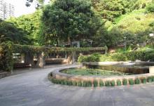 二龙喉公园3