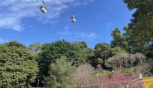 二龙喉公园2
