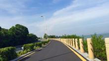 路环岛20