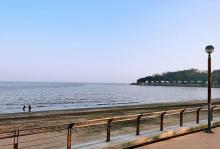 黑沙海滩8