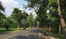东海大学路思义教堂5