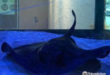 King Car Biotechnology Aquaculture Science Center2