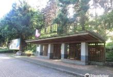 Sun Moon Lake Butterfly Garden1