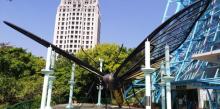 国立自然科学博物馆植物园5