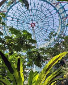 国立自然科学博物馆植物园9