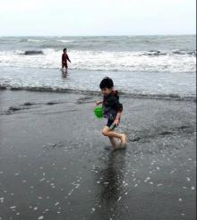 大安滨海乐园3