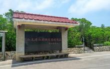 红毛港红树林游乐区1