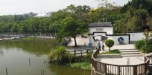 青草湖8