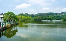 青草湖1