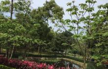 姜太公中部道场4