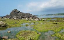 麟山鼻游憩区1