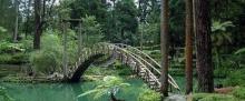 日月潭自行车步道8