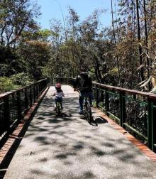 日月潭自行车步道7