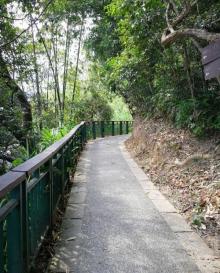 涵碧步道5