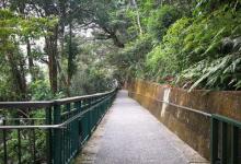 涵碧步道6