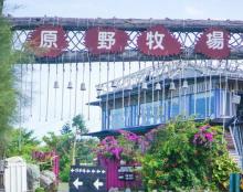 原野牧场2