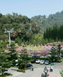 伊达邵码头平台8