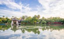 台中公园4