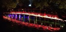 台中公园15