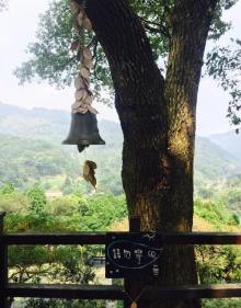 薰衣草森林13