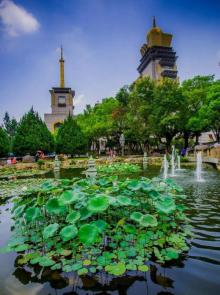 中台禅寺27