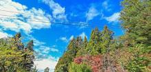 福寿山农场8