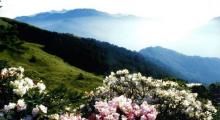 合欢山24
