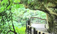砂卡D步道1