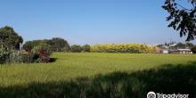 Dalin Bikeway2