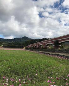 二悠核3