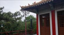 员林神社1