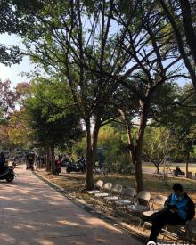 员林公园1