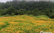 Chihke Farm2