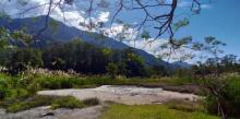 Luoshan Fish Pond2