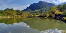 Luoshan Fish Pond5