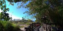 Luoshan Fish Pond4