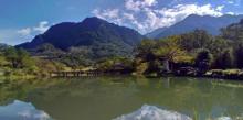 Luoshan Fish Pond6