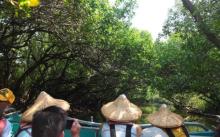 四草绿色隧道2