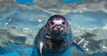 乐天水族馆1