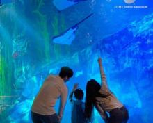 乐天水族馆2