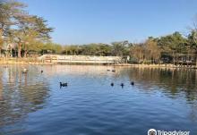 顽皮世界野生动物园3