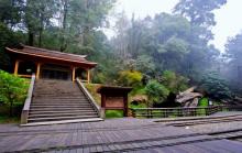 阿里山神木区1
