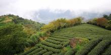 六十石山风景区19