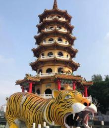 龙虎塔22