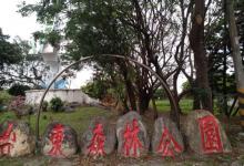 台东森林公园2