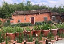 Yuan Xing House1