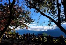 阿里山国家风景区26