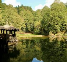 阿里山国家风景区24