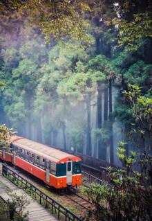 阿里山国家风景区11