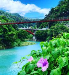 Wu Lai Suspension Bridge2